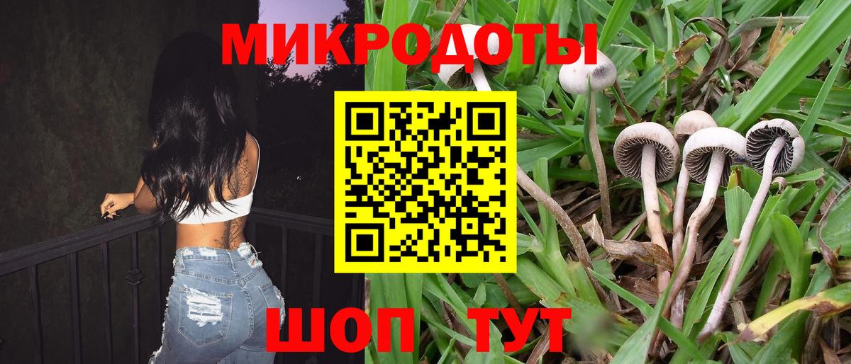 Псилоцибиновые грибы Magic Shrooms Кисловодск