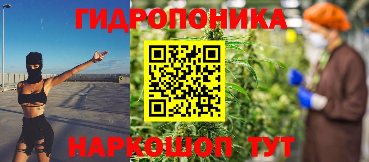 Марихуана семена  Вход с VPN  Кисловодск  МАРИХУАНА VHQ 